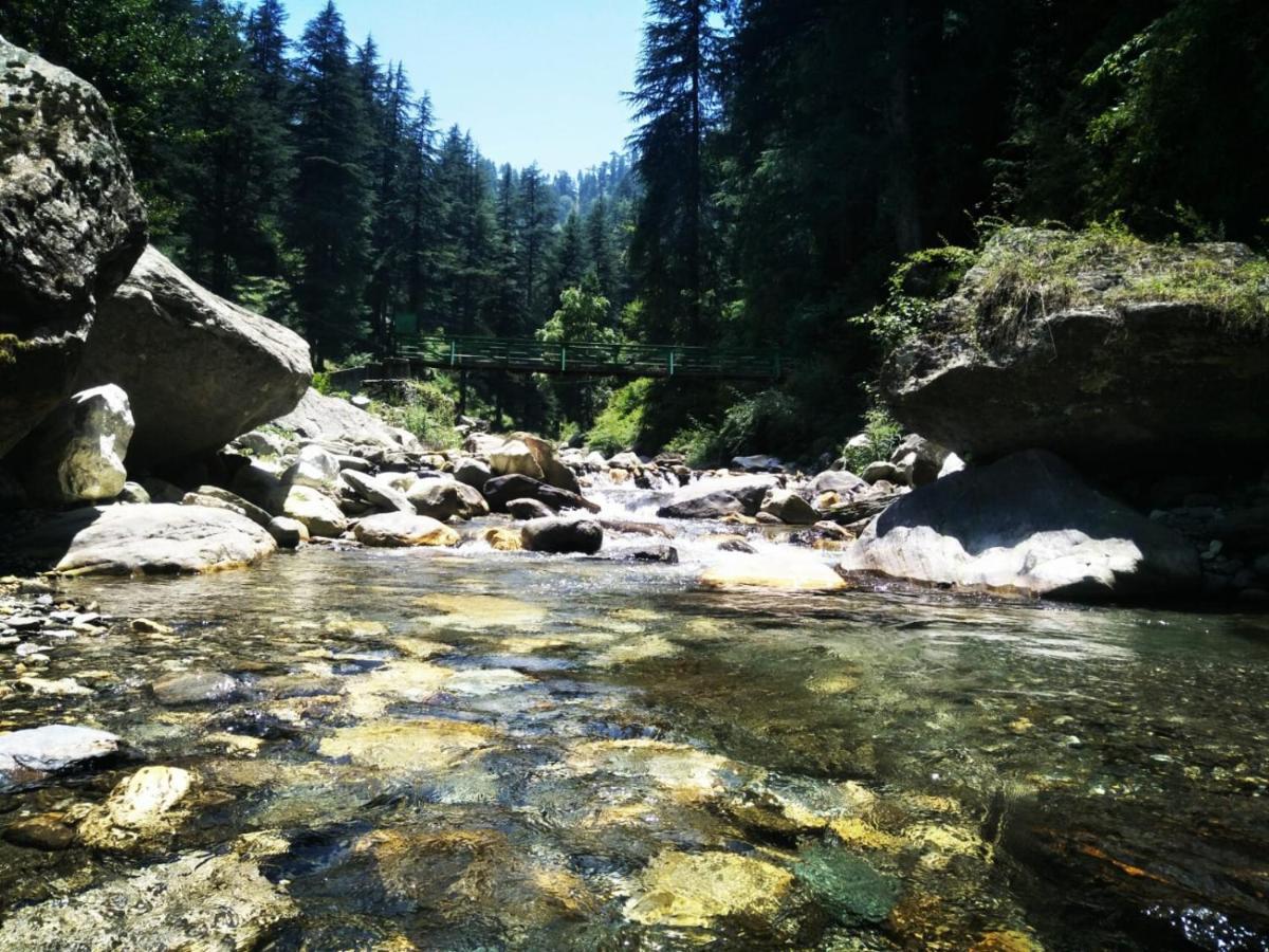 Apartament The Himalayan Heaven Jibhi Zewnętrze zdjęcie